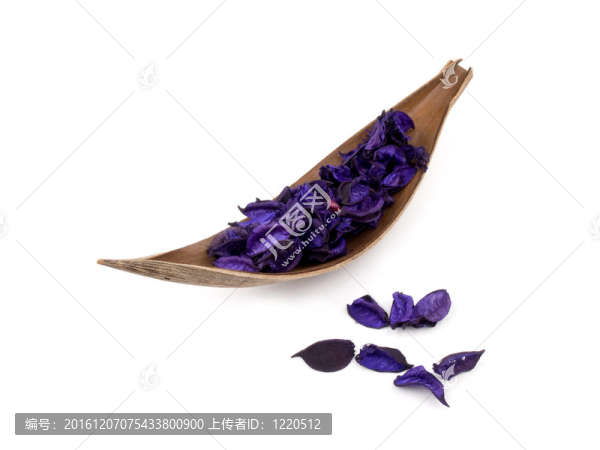 紫花香白色背景