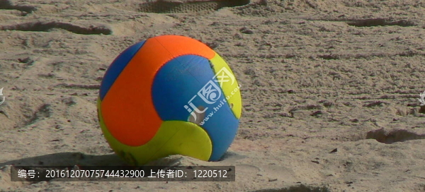排球