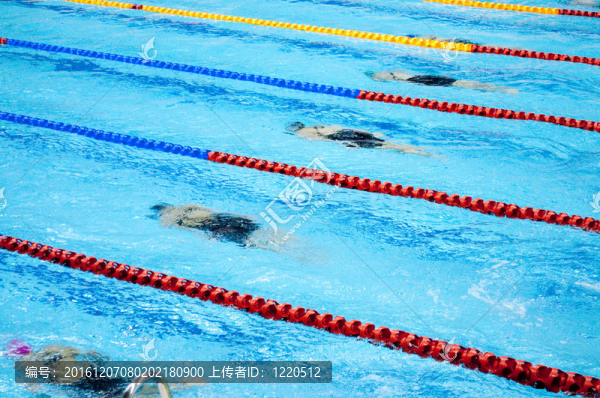 游泳池游泳