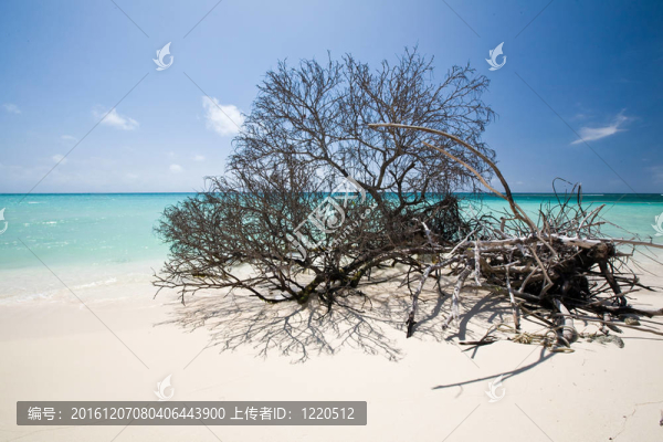 阿內(nèi)加達(dá)島；英屬維爾京群島2010冬季；