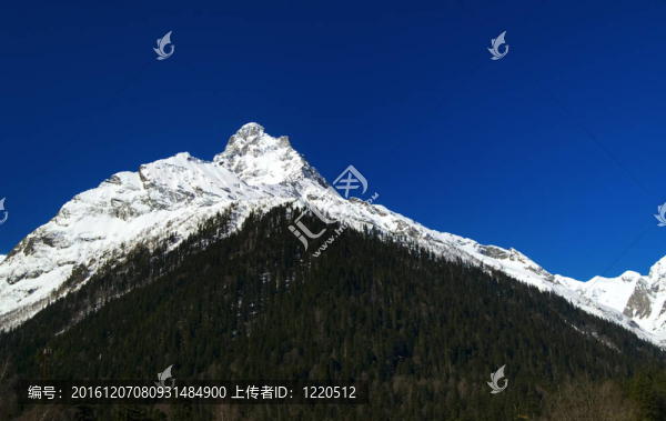 高加索山脈。Belalakaya。