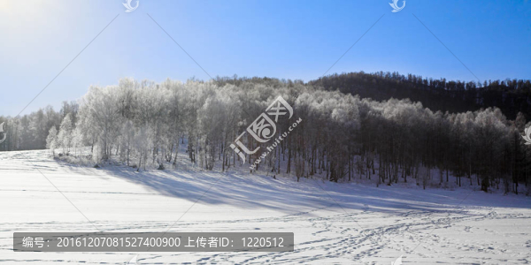 冬季景觀