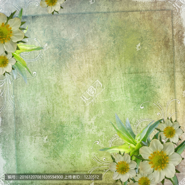 夏天的賀卡與框架和鮮花的節(jié)日