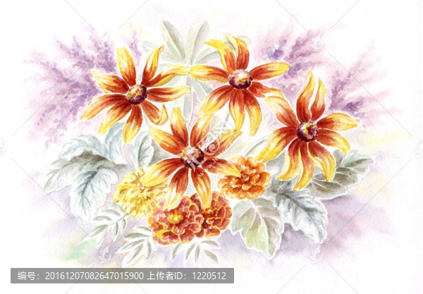 金光菊、金盞花