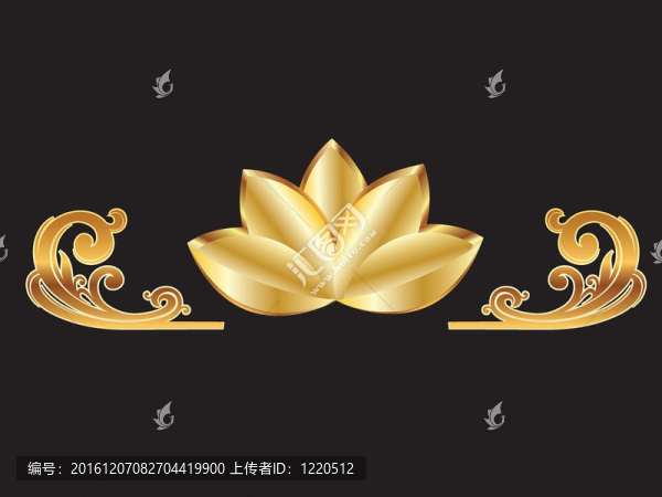 金蓮花