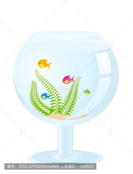 白色背景水族箱
