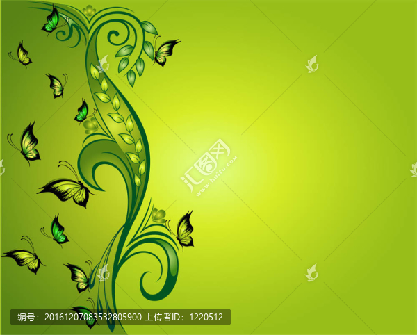 美麗的框架