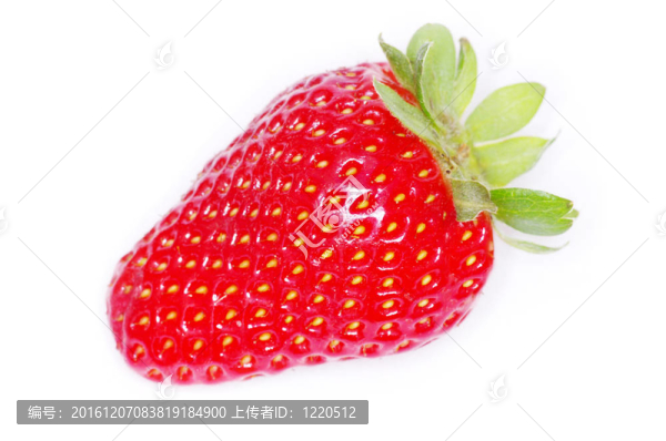 草莓
