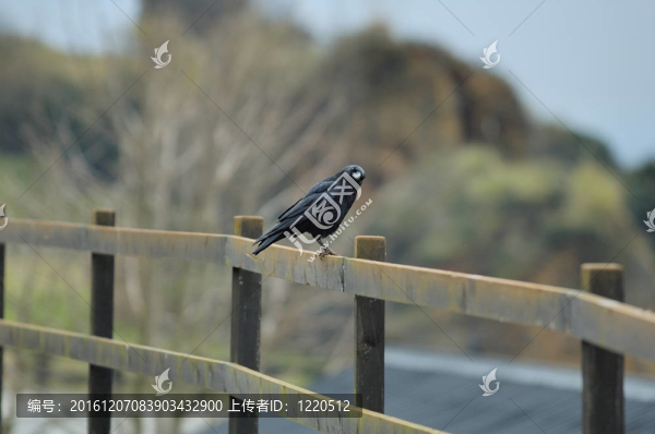 Cabarceno公園