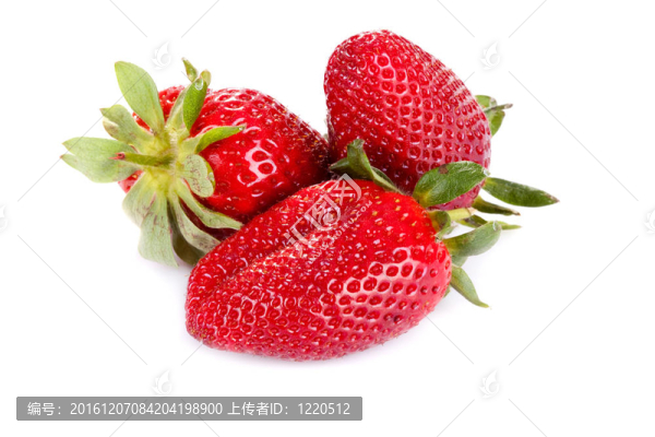 三草莓