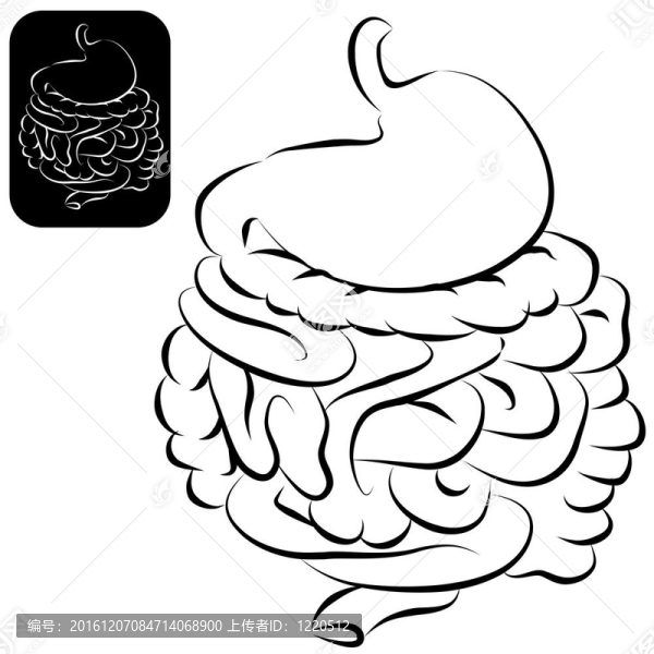 消化系統(tǒng)設(shè)置