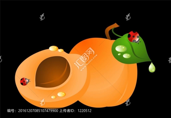 美麗明亮的卡
