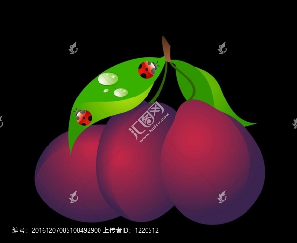 美麗明亮的卡