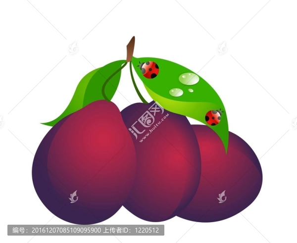 美麗明亮的卡
