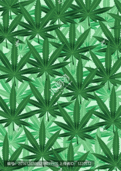 來(lái)自大麻葉子的背景