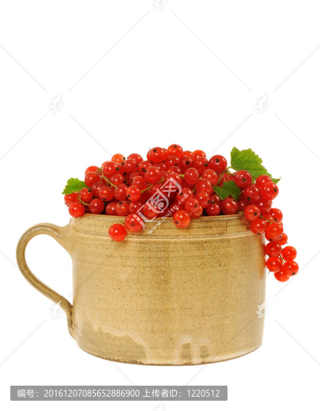 陶瓷杯充滿新鮮紅curra