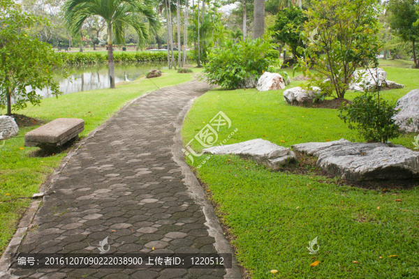 在公園里散步。