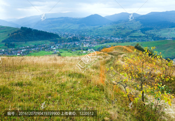 秋天的山地景觀（喀爾巴阡；烏克蘭）。
