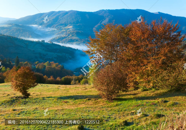 秋霧山