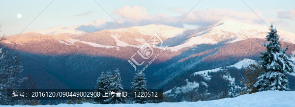 十月第一冬雪全景