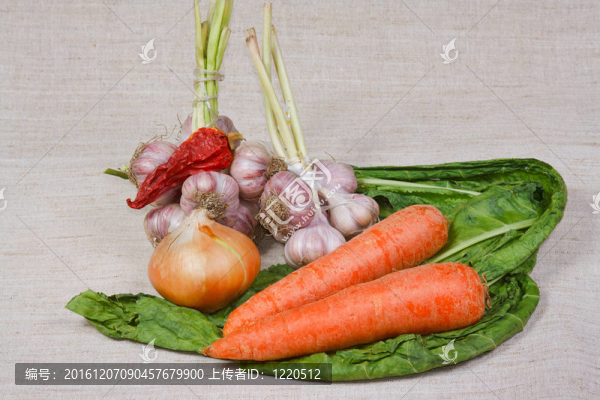 菜園中不同的新鮮蔬菜