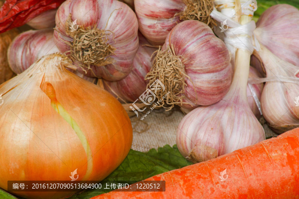 菜園中不同的新鮮蔬菜