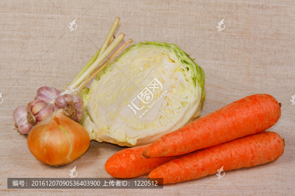 菜園中不同的新鮮蔬菜