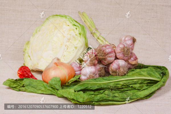 菜園中不同的新鮮蔬菜