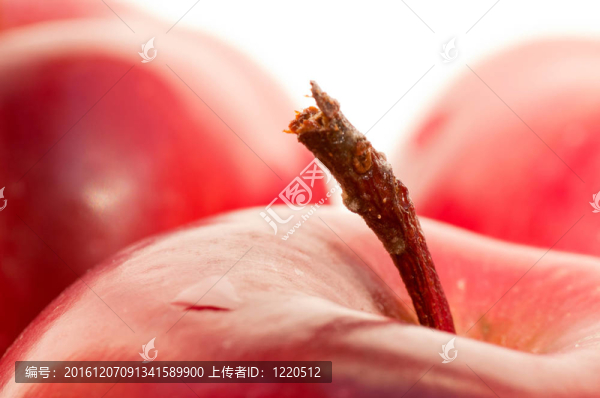 蘋(píng)果蒂