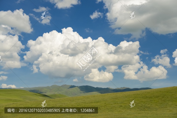 桑科草原
