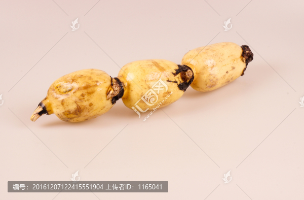 蓮藕
