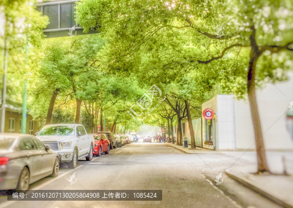 動漫風(fēng),路