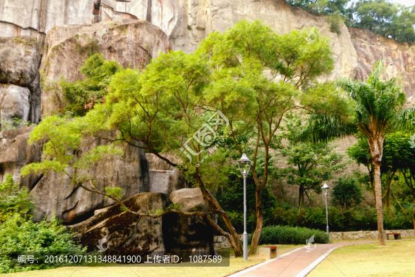 金雞山公園