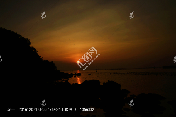 榮成大天鵝
