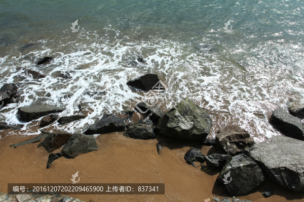浪花