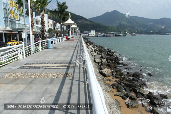 海岸