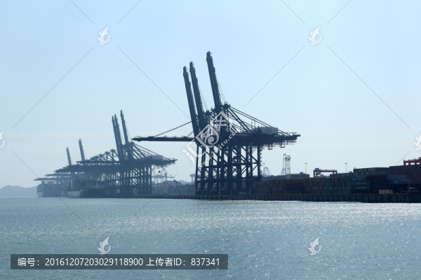 海運(yùn)