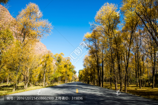 祁連山森林公路