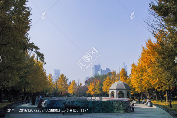 城市秋色