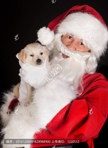 Santa與金毛犬