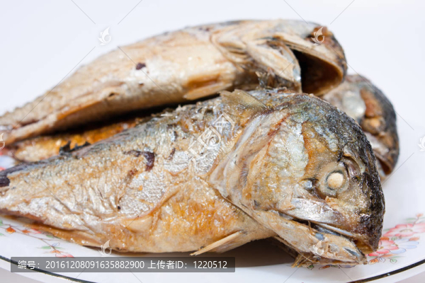 香煎馬鮫魚。