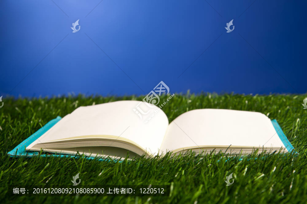 筆記本在草地上