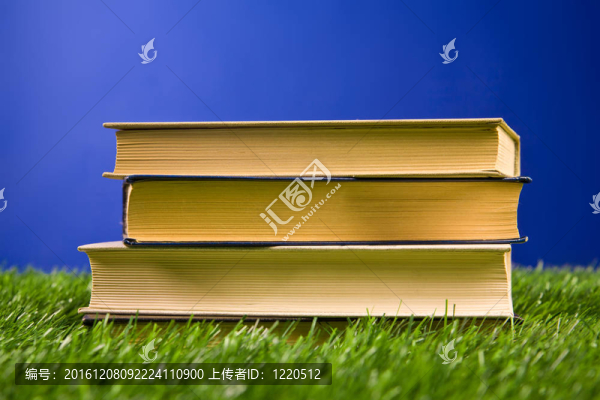 草地上的書