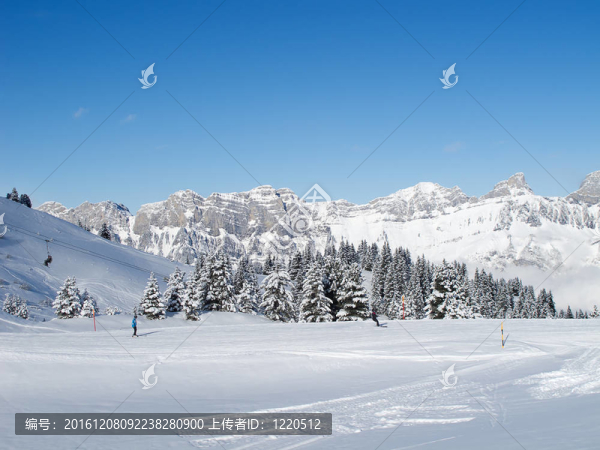 滑雪坡