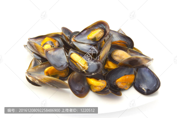 蒸貽貝