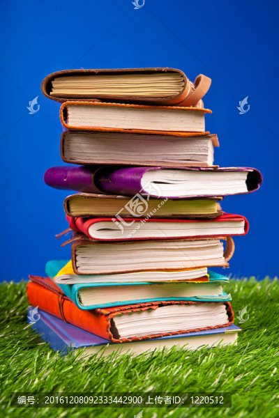 草地上的書