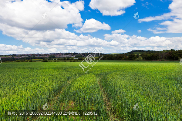 綠色的鄉(xiāng)村景觀