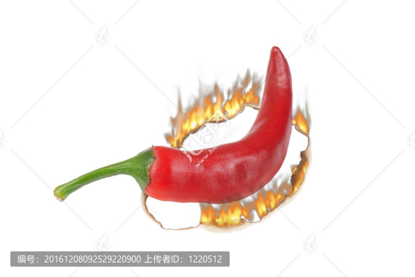 在白色背景上燒紅辣椒