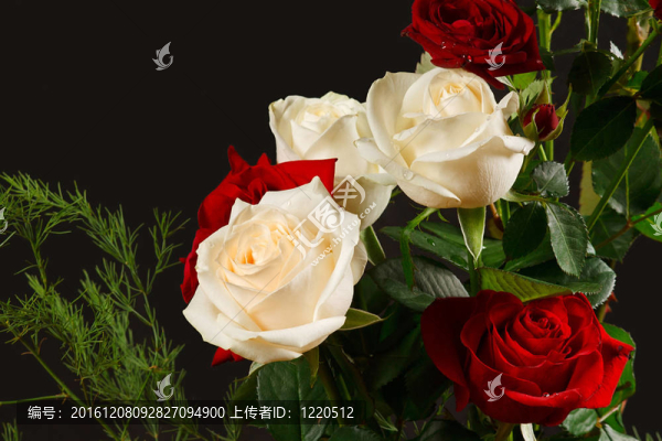 來(lái)自黑暗背景的花束紅色和奶油玫瑰