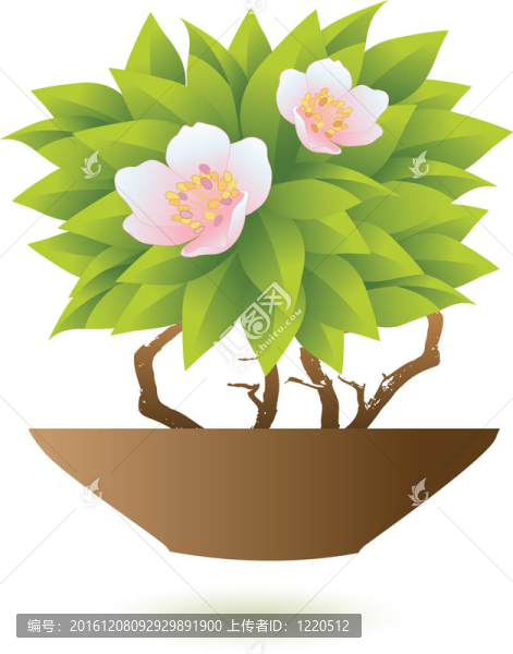 花卉盆栽